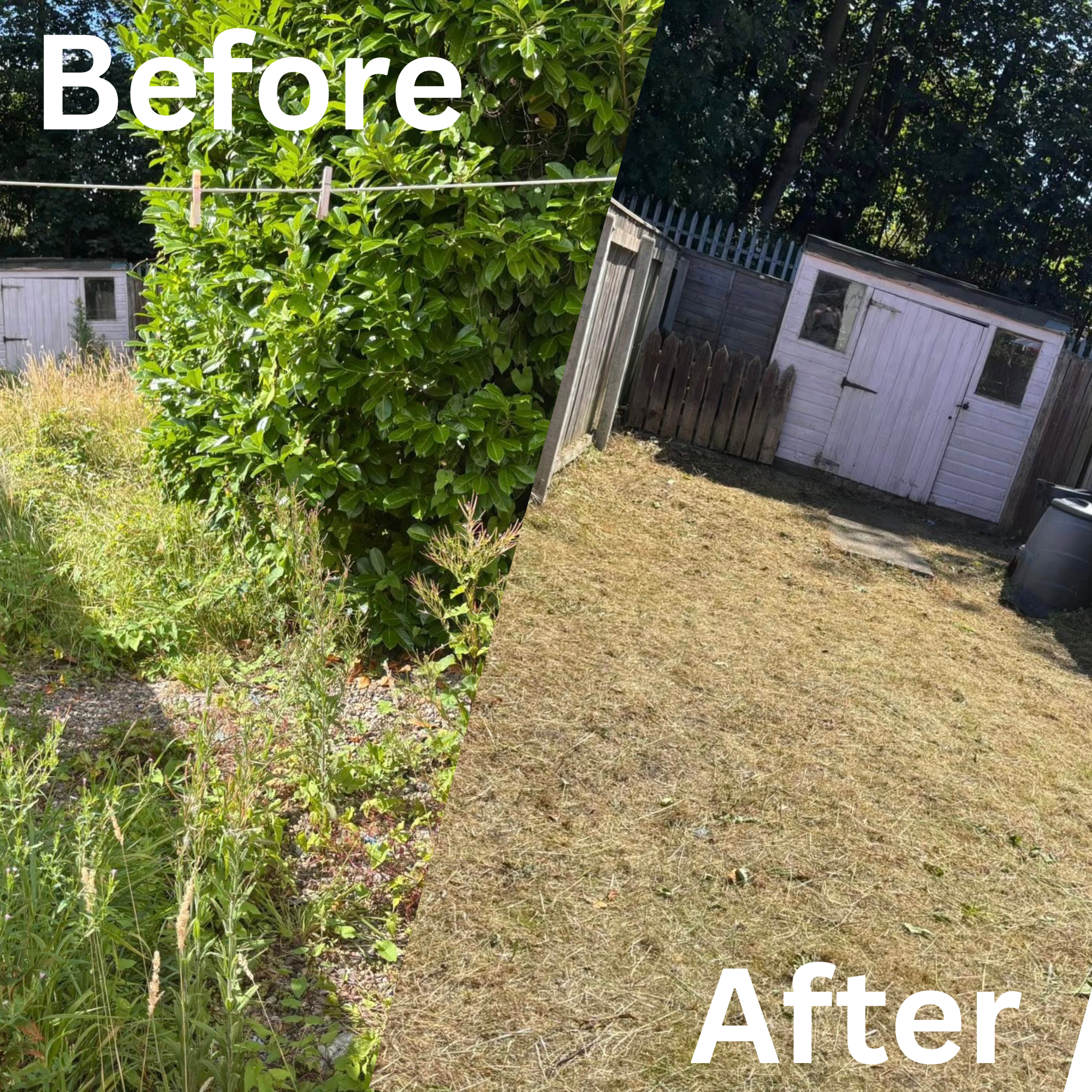 Garden job
